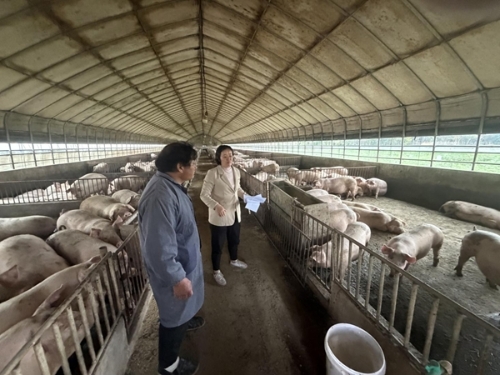 海安审计关注生猪养殖项目管理与污染防治情况