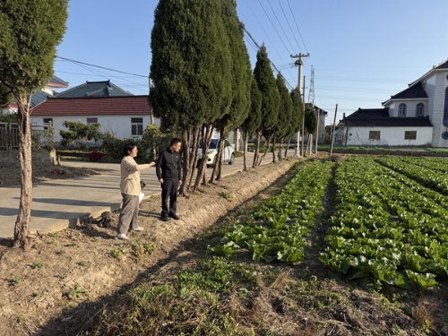 海安审计关注耕地占补平衡政策落实情况