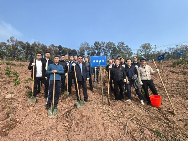 省审计厅参加秋冬抚育管护义务植树活动