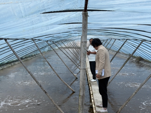 海安审计关注水产养殖尾水治理情况