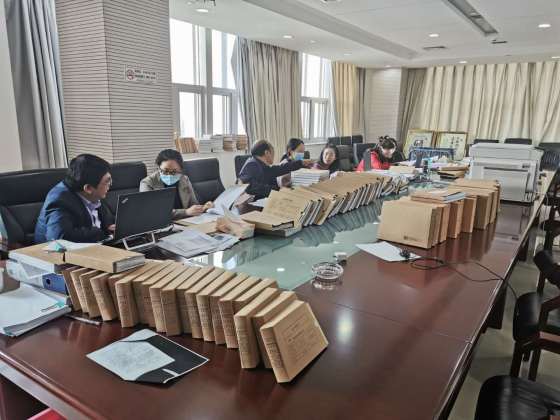 盐城统筹融合提升预算执行审计质效