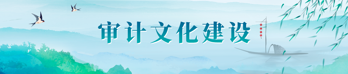审计文化建设