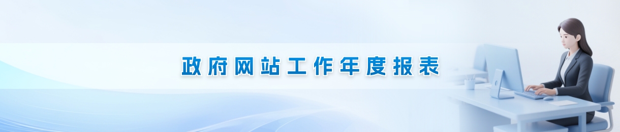 政府网站工作年度报表